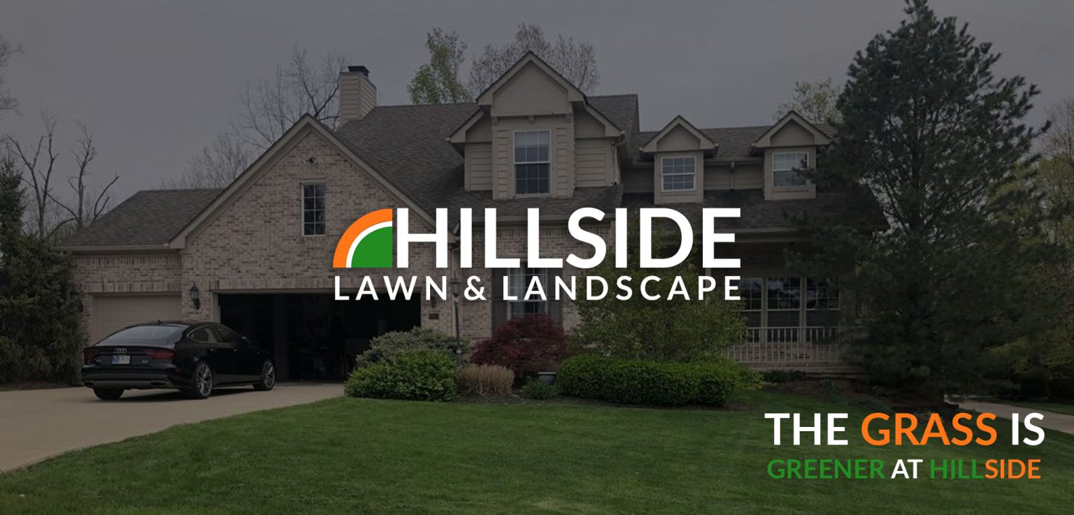 Fertilization Programs at Hillside Lawn & Landscape